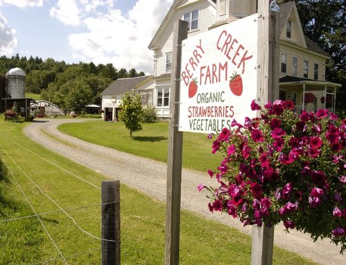 Berry Creek Farm: An Organic Family Affair