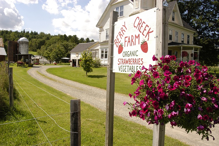 Berry Creek Farm: An Organic Family Affair