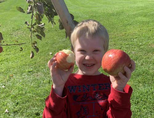 2022 Fall Farm Field Trips
