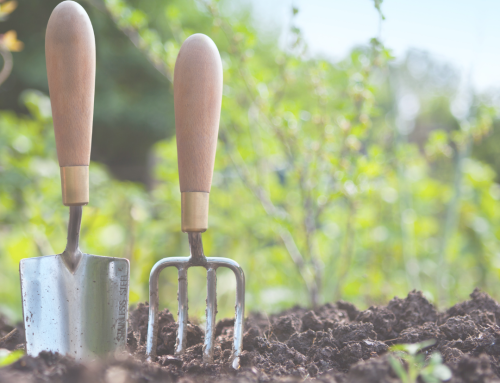 10 Benefits of Gardening on Well-being