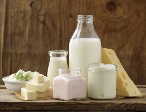 Holy Cow! 5 Ways to Support Local Dairy Producers