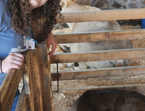 Youth Leadership in Farm-to-School