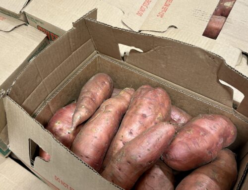 Wouldn’t you love it if your kids could eat healthy local VT food while they’re at school?